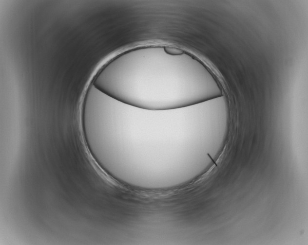 X0000115711246200911120957