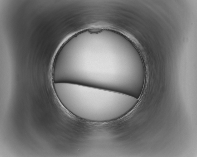 X0000115711248200911120957