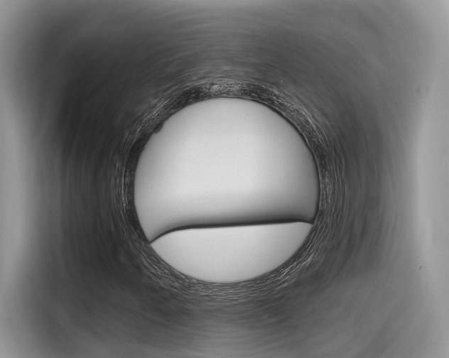 X0000115711250200911120956
