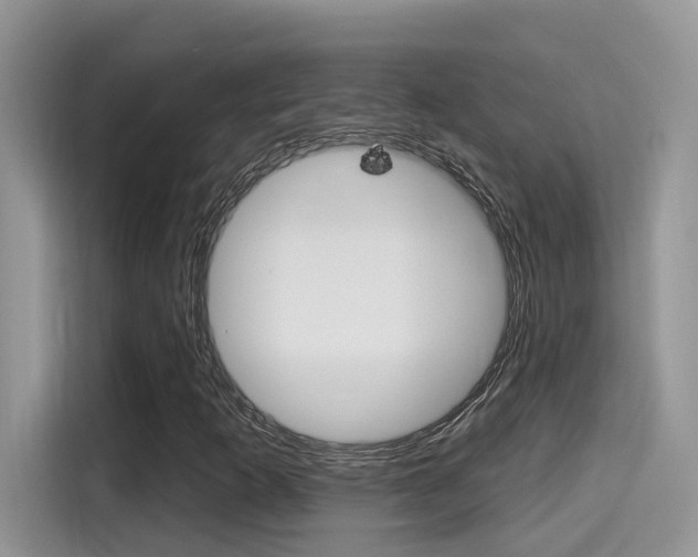 X0000115711253200911120956