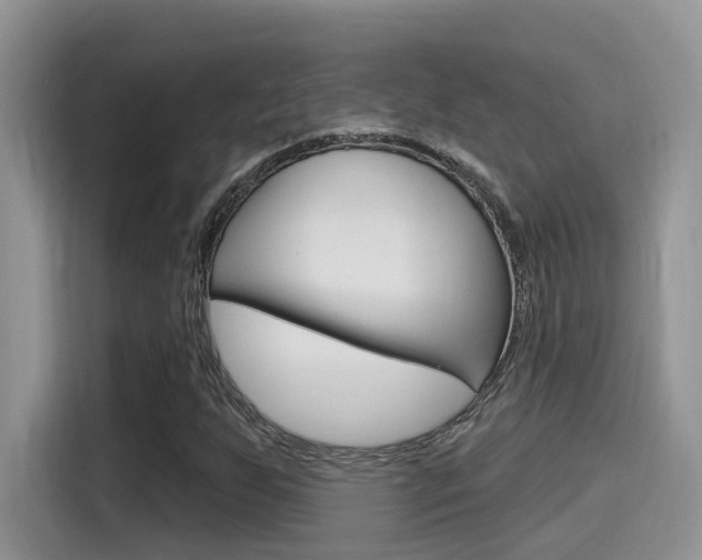 X0000115711255200911120956