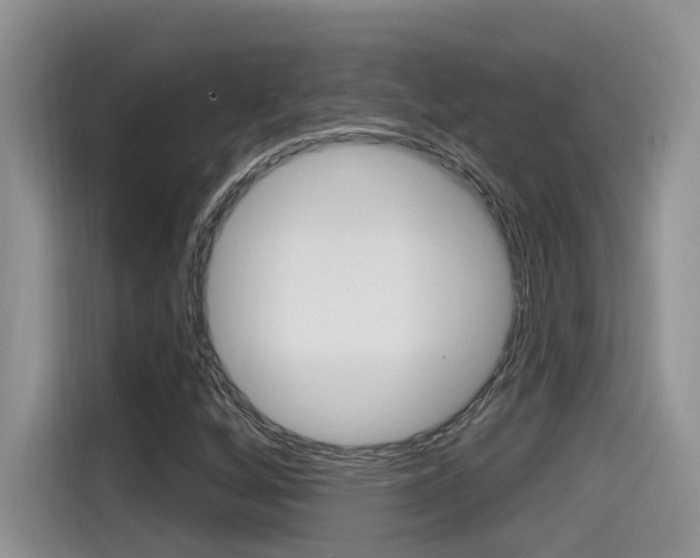 X0000115711256200911120956