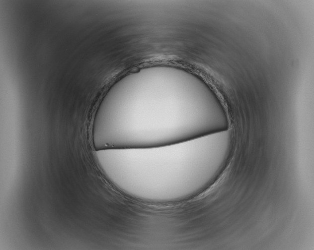 X0000115711257200911120956
