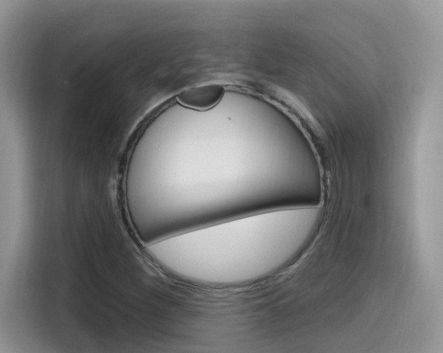 X0000115711260200911120956