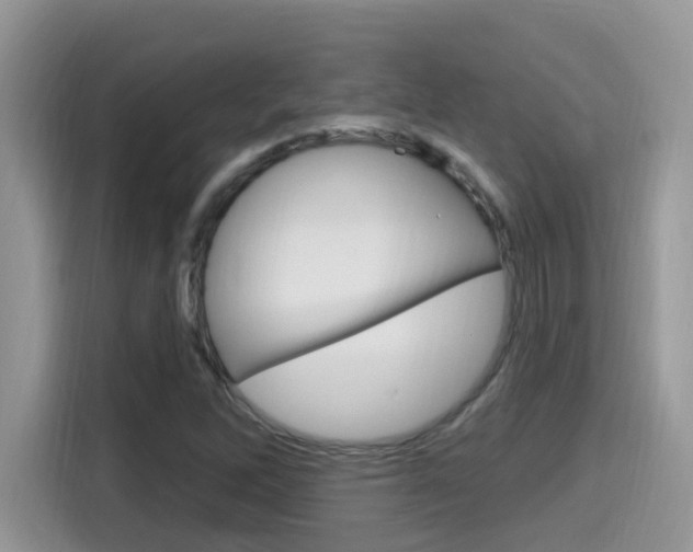 X0000115711262200911120956