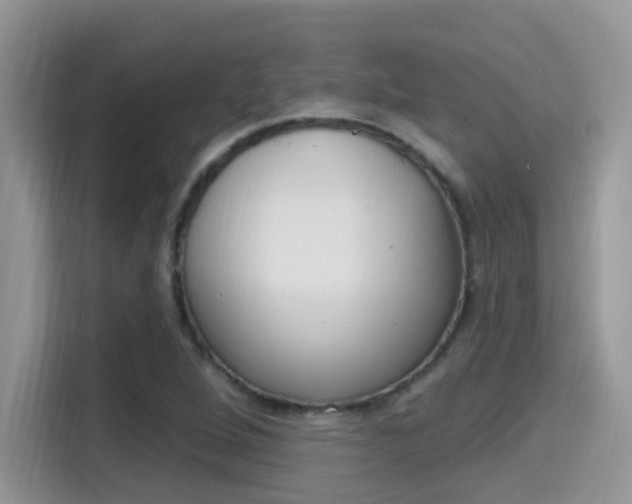 X0000115711264200911120956