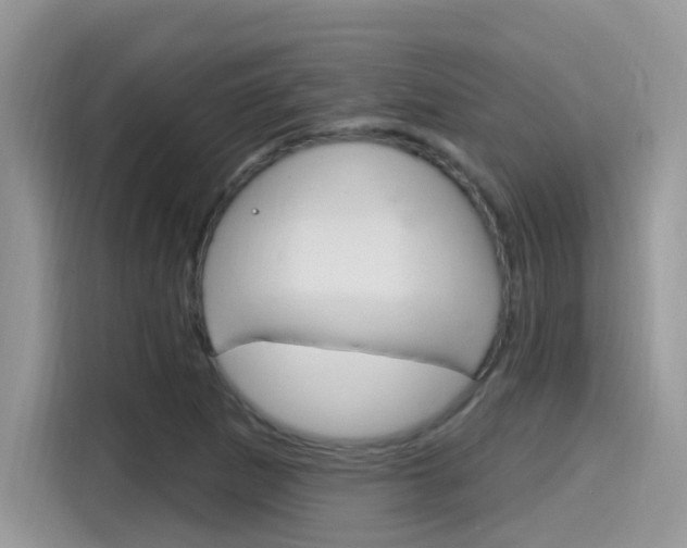 X0000115711265200911120956
