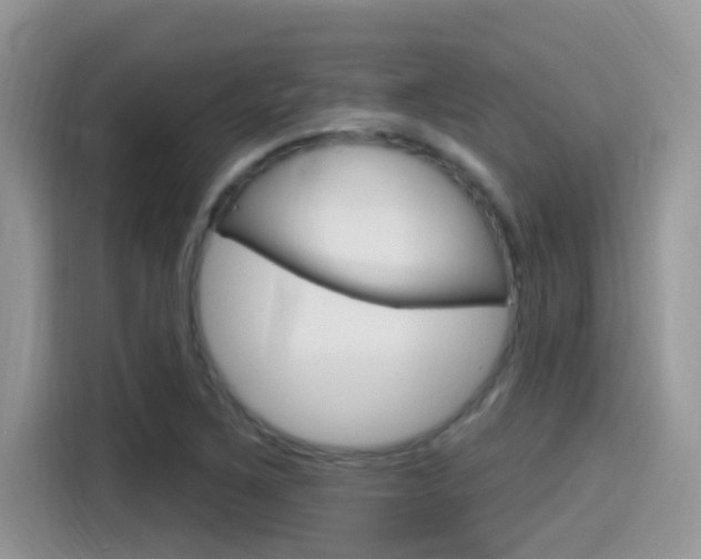 X0000115711267200911120956