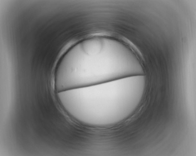 X0000115711274200911120956