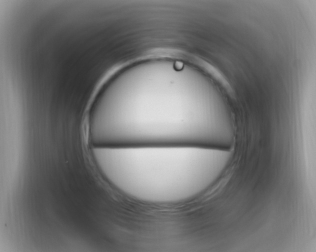X0000115711275200911120956