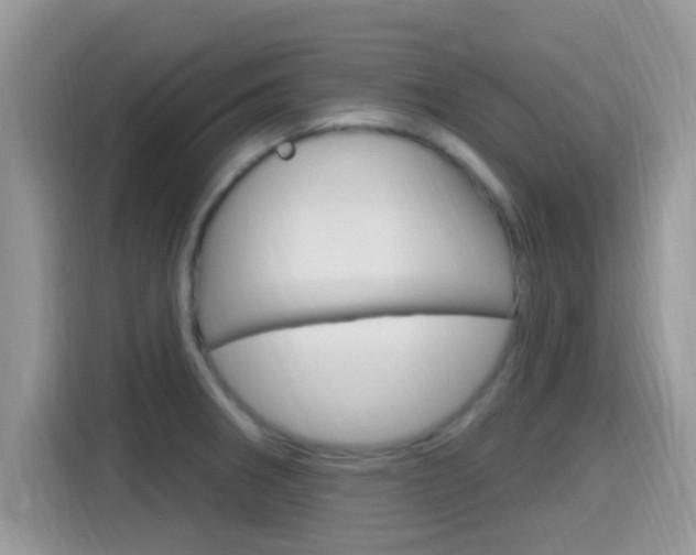 X0000115711282200911120956