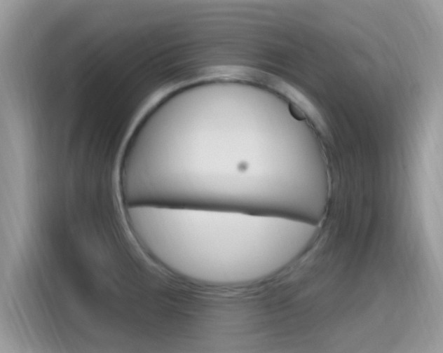 X0000115711283200911120956