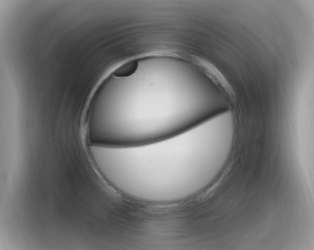 X0000115711284200911120956