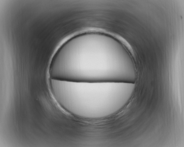 X0000115711287200911120956