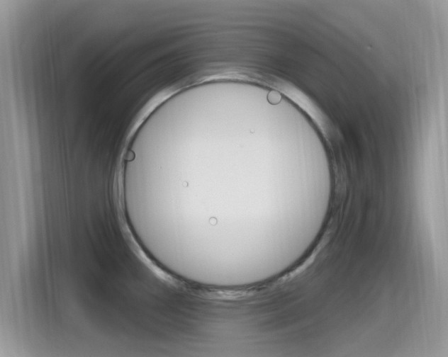 X0000115711290200911120956