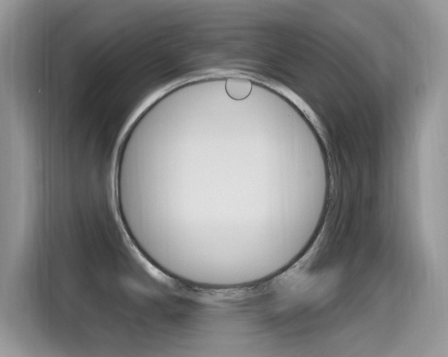 X0000115711294200911120955