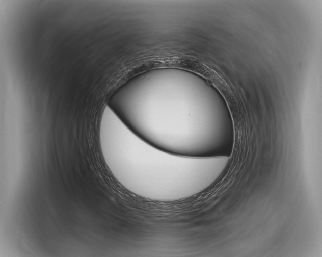 X0000115711298200911120955