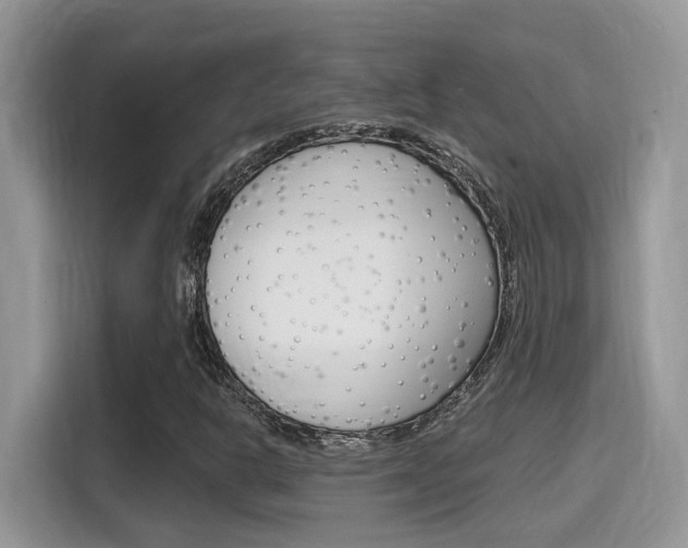 X0000115711302200911120955