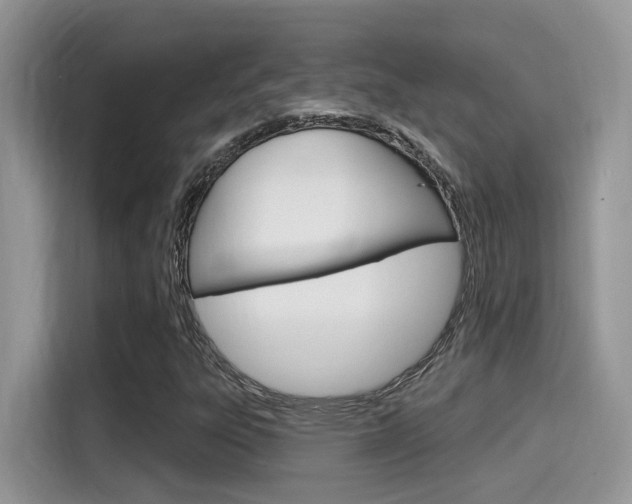 X0000115711303200911120955