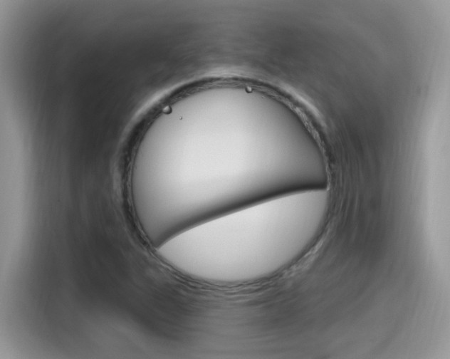 X0000115711311200911120955