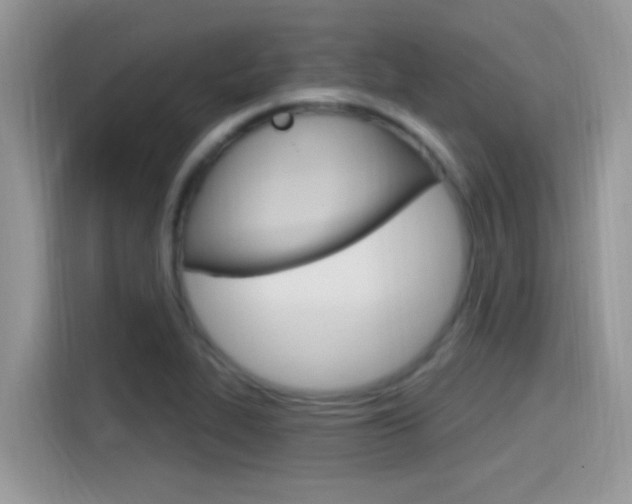 X0000115711319200911120955