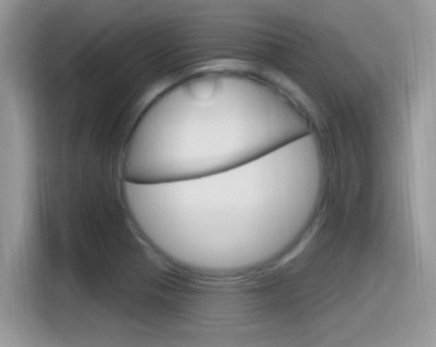 X0000115711321200911120955