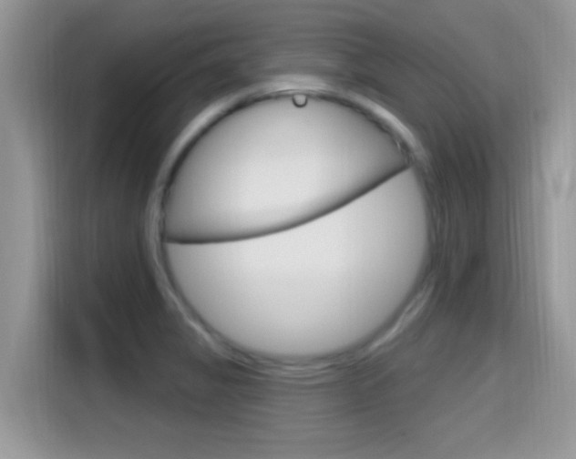 X0000115711325200911120955