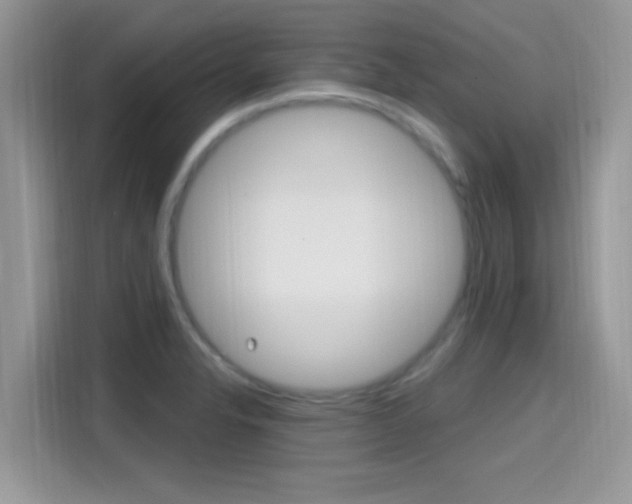 X0000115711326200911120955