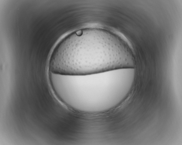 X0000115711331200911120955