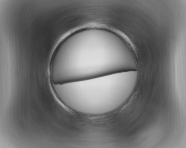 X0000115711335200911120955