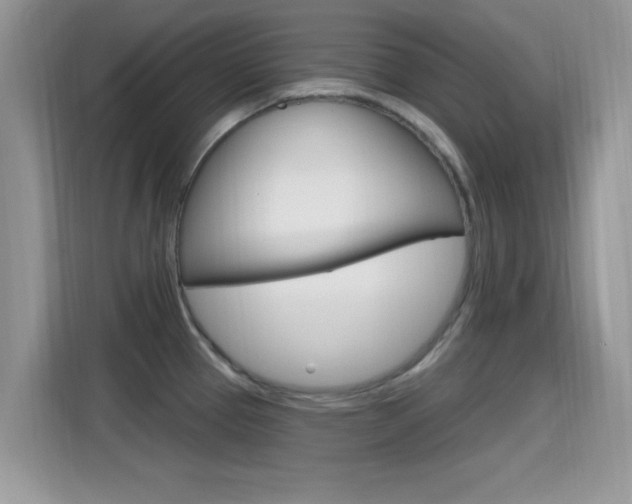 X0000115711337200911120955