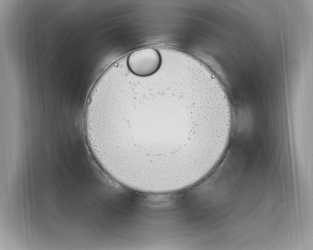 X0000115711338200911120955