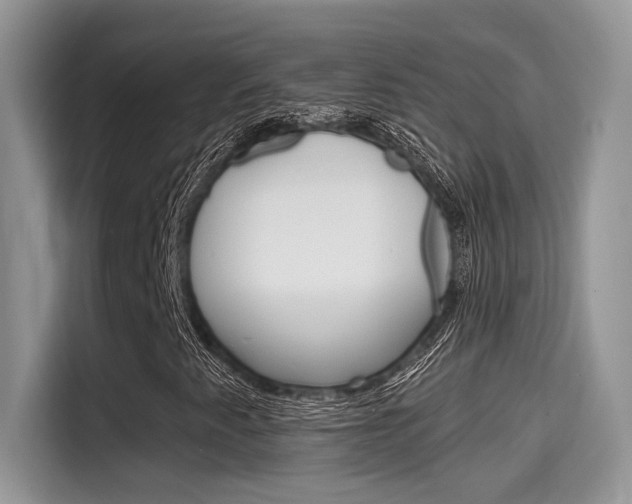 X0000115711345200911120955
