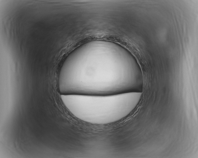 X0000115711349200911120955