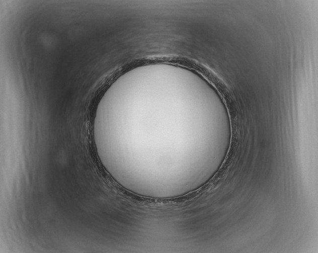 X0000115711351200911120955