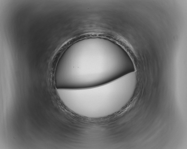 X0000115711352200911120955