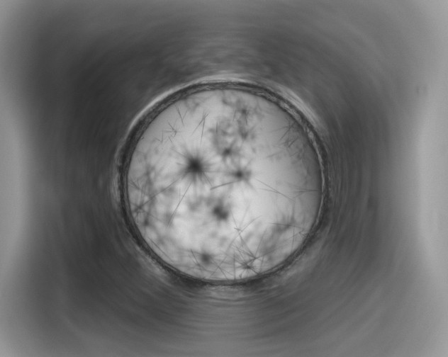 X0000115711356200911120955