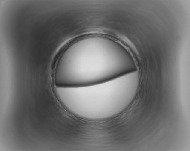 X0000115711360200911120955