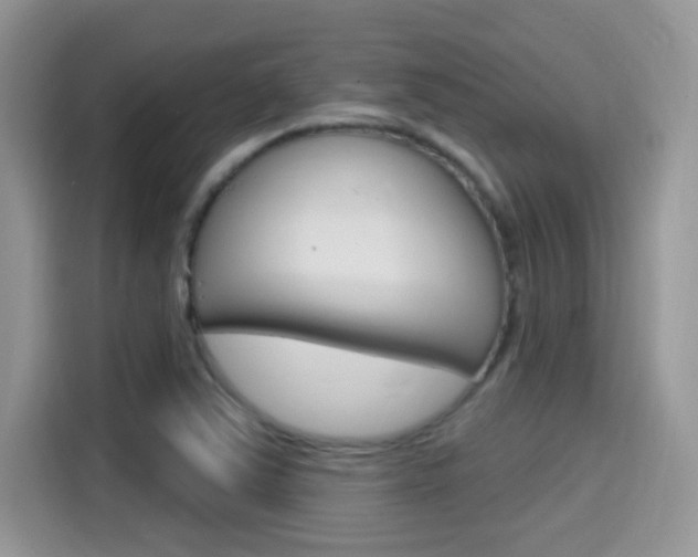 X0000115711363200911120955