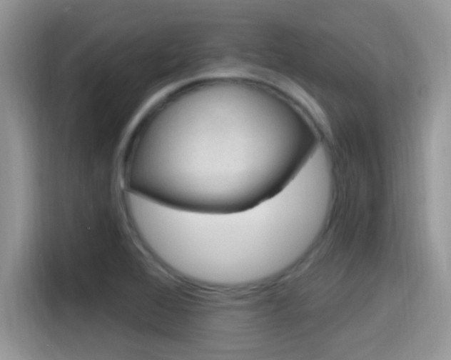 X0000115711368200911120954