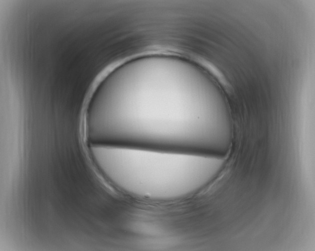 X0000115711371200911120954