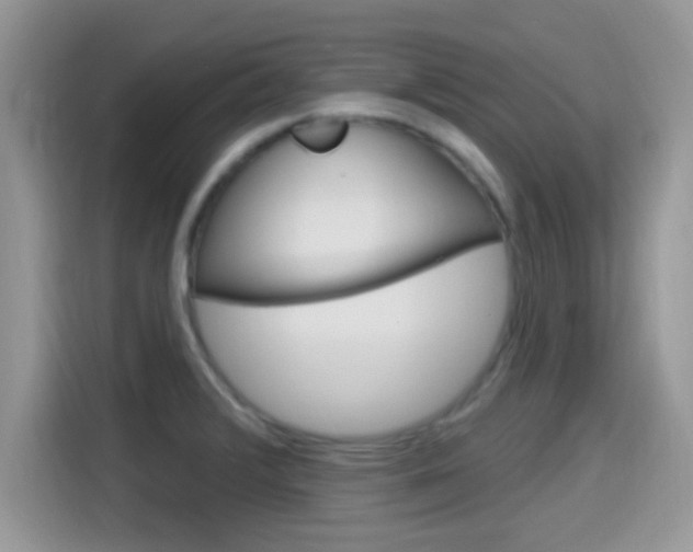 X0000115711376200911120954