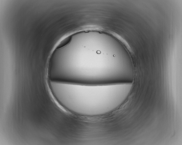 X0000115711383200911120954