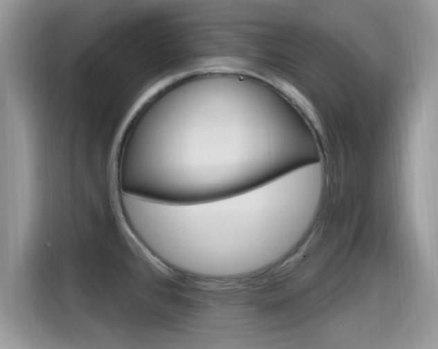 X0000115711384200911120954