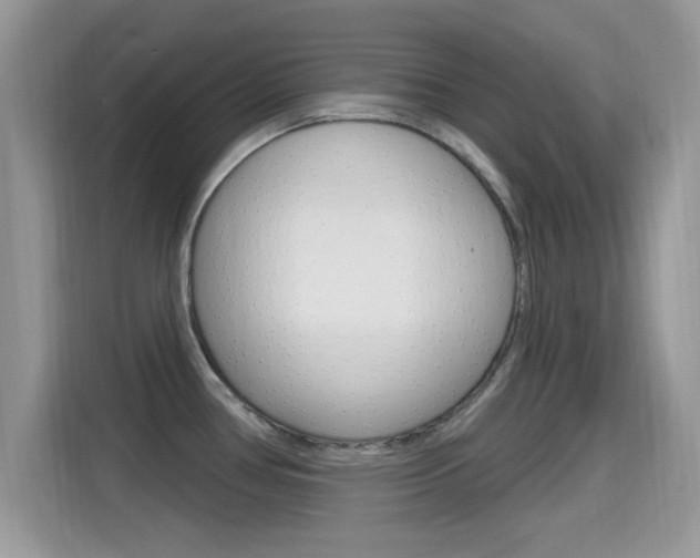 X0000115711386200911120954