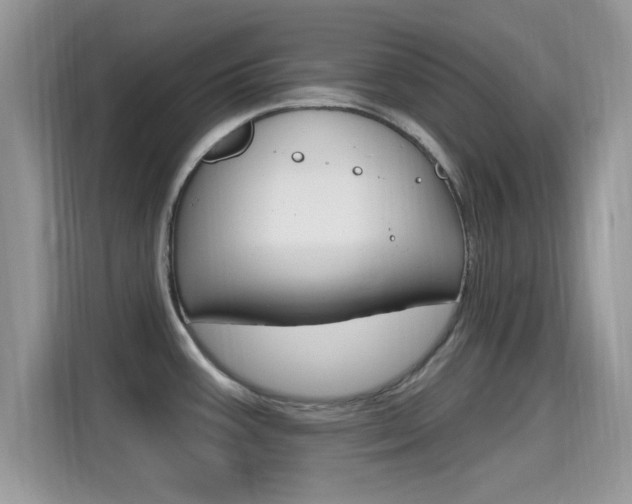 X0000115711387200911120954