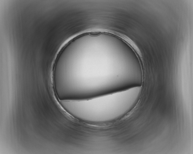 X0000115711388200911120954