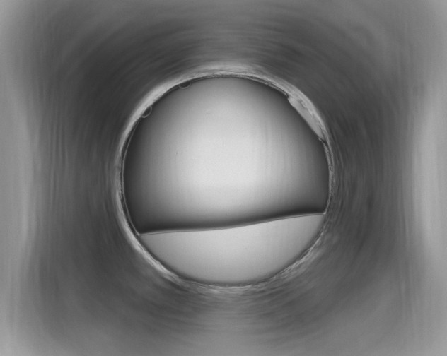 X0000115711389200911120954