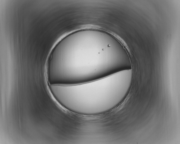 X0000115711391200911120954
