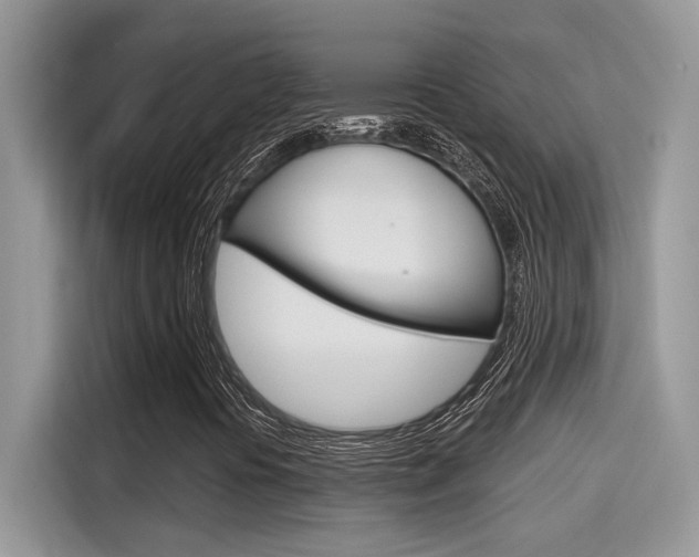 X0000115711394200911120954
